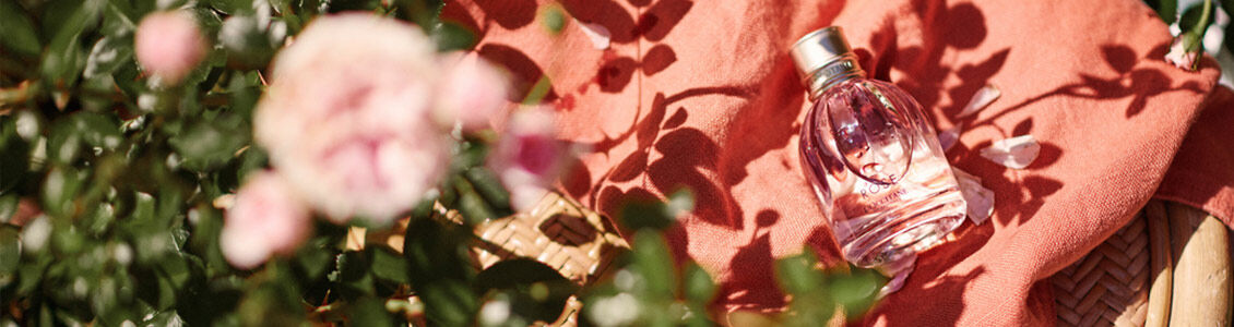 Rose Collection